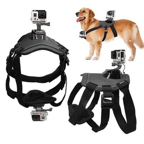 best gopro harness for dogs